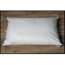 Termop Vankúš Excelent perie/páper 70x90