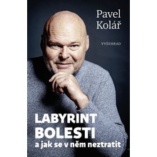 Labyrint bolesti - Pavel Kolář