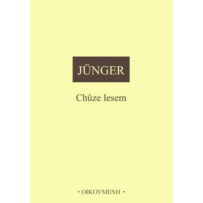 Chůze lesem