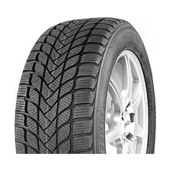 Mastersteel Winter + 215/55 R16 97H