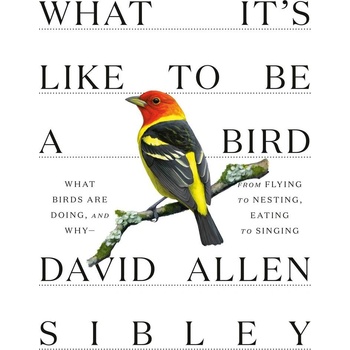 What It's Like to Be a Bird