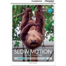 CDE 2 SLOW MOTION +ONLINE CODE