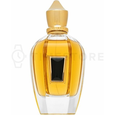 Xerjoff 17/17 Homme čistý parfum pánsky 100 ml