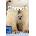 Canada Lonely Planet