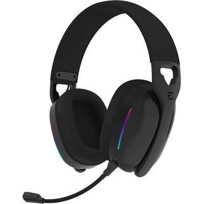 Zalman ZM-HPS650