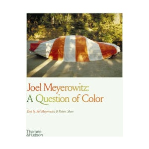 Joel Meyerowitz: A Question of Colour (ISBN: 9780500297896)