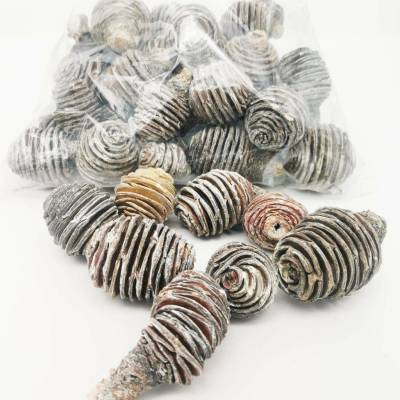 Platyspernum stone washed 1kg