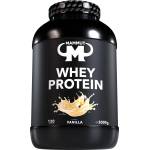 MAMMUT Whey Protein - Vanilla - 3000 g Dose - FID64127 (FID64127)