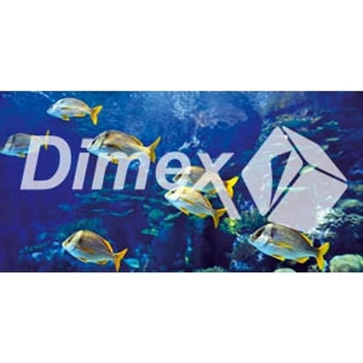 DIMEX | Obraz na skle | Rybičky GL-60-013 | 60 x 30 cm