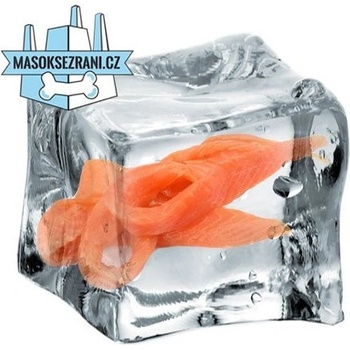 B.A.R.F. Company Norský losos bříška 1 kg