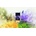 Gritti Magnifica Lux EDP 100 ml Tester