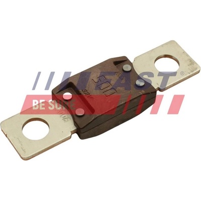 Pojistka FAST FT83404