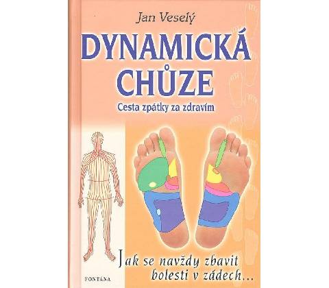 Dynamická chůze
