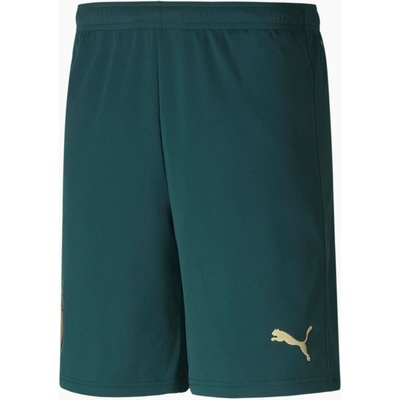 Puma pánske kraťasy Figc Trhird Shorts Replica Green