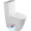 SAPHO 63173