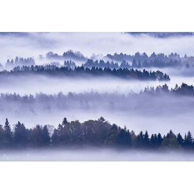 DIMEX ART Флизелинов фототапет мъгла и дървета 375 x 250 см