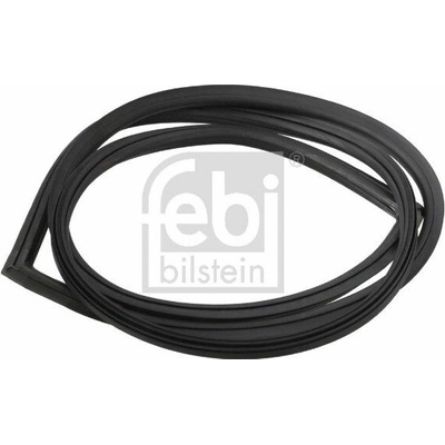 Těsnění, zadní sklo FEBI BILSTEIN 08871