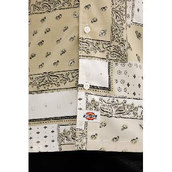 Dickies риза мъжка с лиосел (DK0A889TC481)