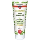 Palacio konopný vlasový šampon 250 ml