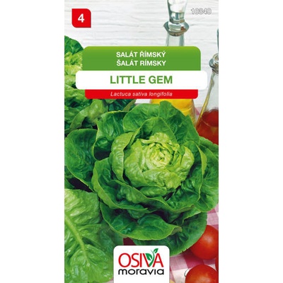 Salát římský - Little Gem