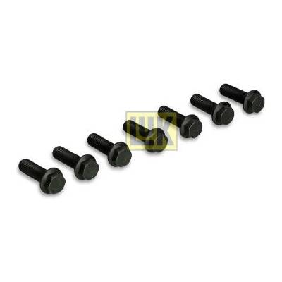 Sada sroubu, setrvacnik Schaeffler LuK 411 0253 10