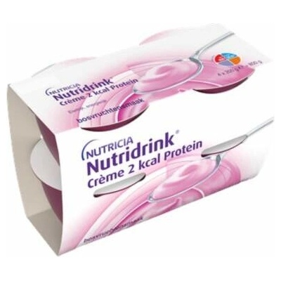 Nutridrink Crème 2 kcal Protein lesného ovocia 24x200 g