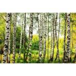 DIMEX ART Флизелинов фототапет брезова гора 375 x 250 см