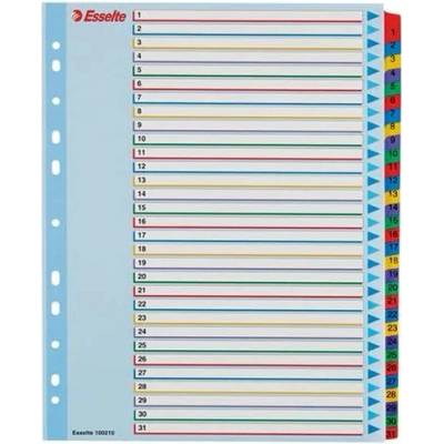 ESSELTE Register, laminovaný kartón, A4 Maxi, 1-31, prepisovateľný, ESSELTE