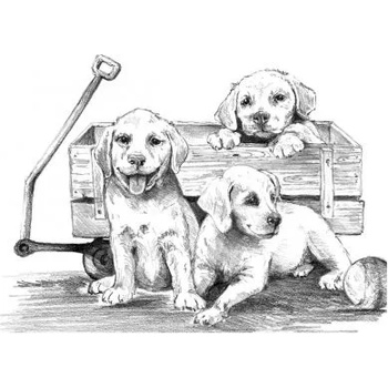 Image 1 of Royal & Langnickel - Творчески комплект за графика - Кученца в количка (SKBNL10)