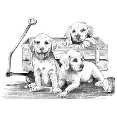 Royal & Langnickel - Творчески комплект за графика - Кученца в количка (SKBNL10)