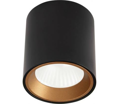 MaxLight C0211