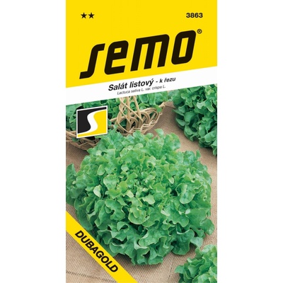 Semo Salát kadeřavý k řezu - Dubagold 0,6g