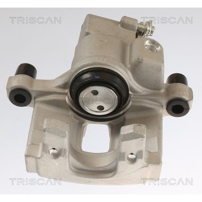AGR-Ventil TRISCAN 8813 25201