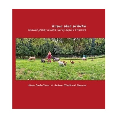 Kapsa plná příběhů - Hana Doskočilová