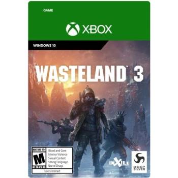 Wasteland 3