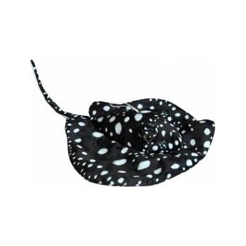 Dubi Black ray 55cm