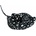 Dubi Black ray 55cm