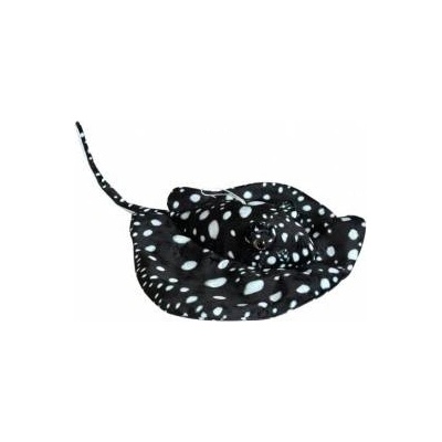 Dubi Black ray 55cm