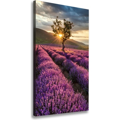 Vertikálny foto obraz canvas Pole levanduľe 50x100 cm