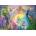 Grafika Art Puzzle - Puzzle Wall: Forget Me Not - 1 000 piese