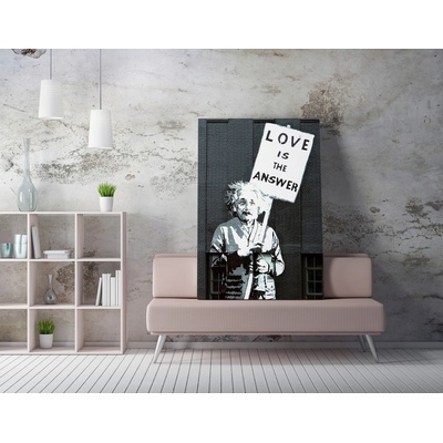 ASIR Nástěnný obraz EINSTEIN plátno 70 x 100 cm