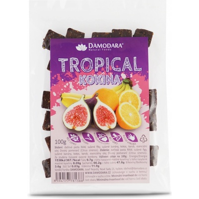 Damodara Ovocné kokina Tropical 100 g