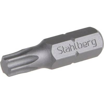 LEVIOR Bit Stahlberg T 40 25mm S2 (2 ks) 18831A.01