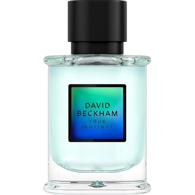 David Beckham True Instinct parfémovaná voda pánská 50 ml