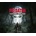 Predator: Hunting Grounds