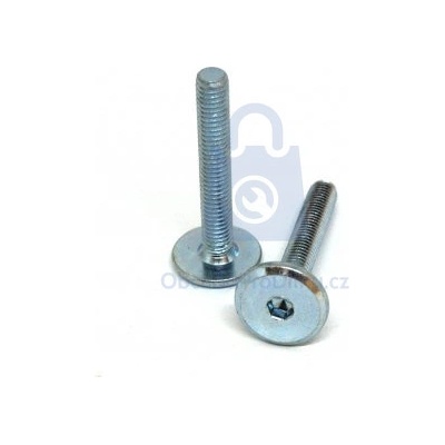 Šroub nábytkářský typ BD, hlava 17 mm, zinek bílý 6 x 80 - hobby balení, balení 1 ks