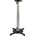 StarTech PROJCEILMNT2