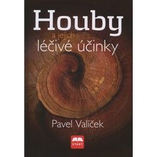 Houby a jejich léčivé účinky