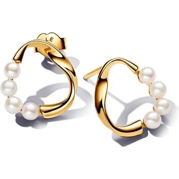 Pandora 263276C01