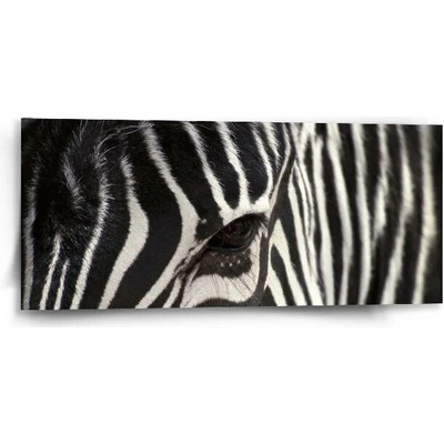 Sablio Obraz Detail zebra - 110x50 cm